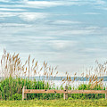 Seagrass On the Sea