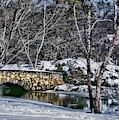 Winter In Binney Park