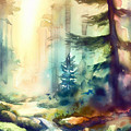 In the Forest