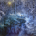 Mountain Stream in the Snow